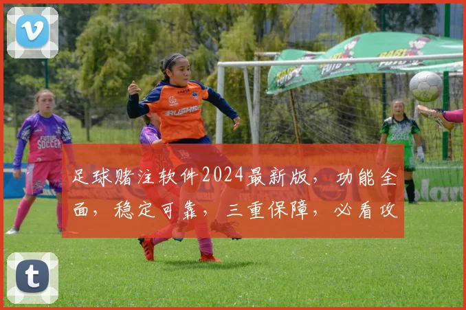 足球赌注软件2024最新版，功能全面，稳定可靠，三重保障，必看攻略
