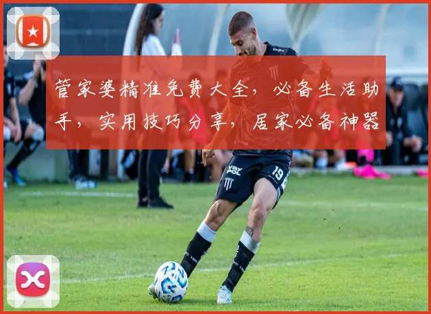 管家婆精准免费大全，必备生活助手，实用技巧分享，居家必备神器
