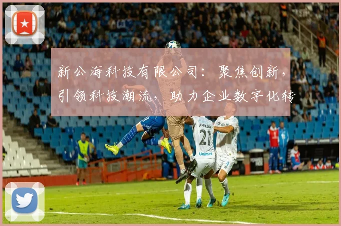 新公海科技有限公司：聚焦创新，引领科技潮流，助力企业数字化转型，成就未来共赢之路