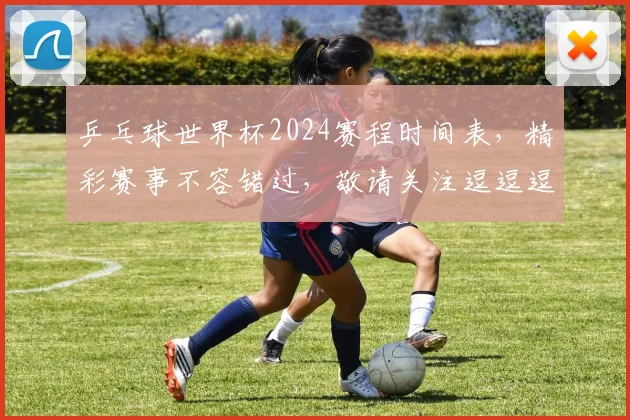 乒乓球世界杯2024赛程时间表，精彩赛事不容错过，敬请关注逗逗逗