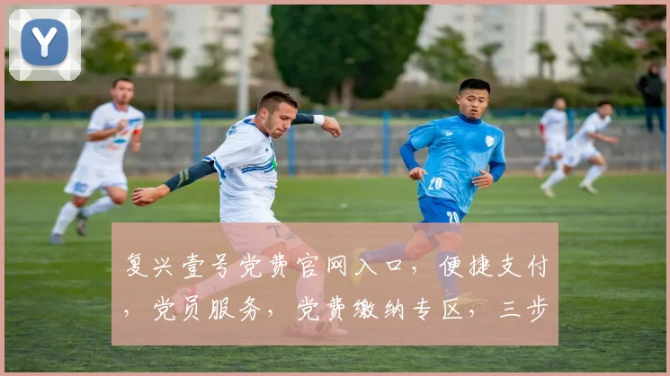 复兴壹号党费官网入口，便捷支付，党员服务，党费缴纳专区，三步直达，党员专属通道
