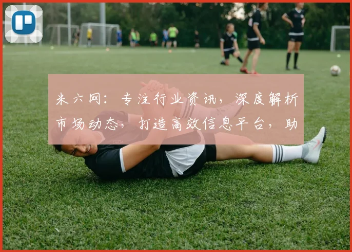 米六网：专注行业资讯，深度解析市场动态，打造高效信息平台，助力企业成长